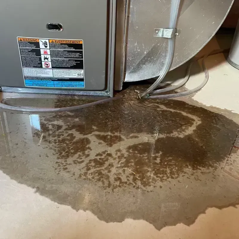 Appliance Leak Cleanup in Brooks, KY